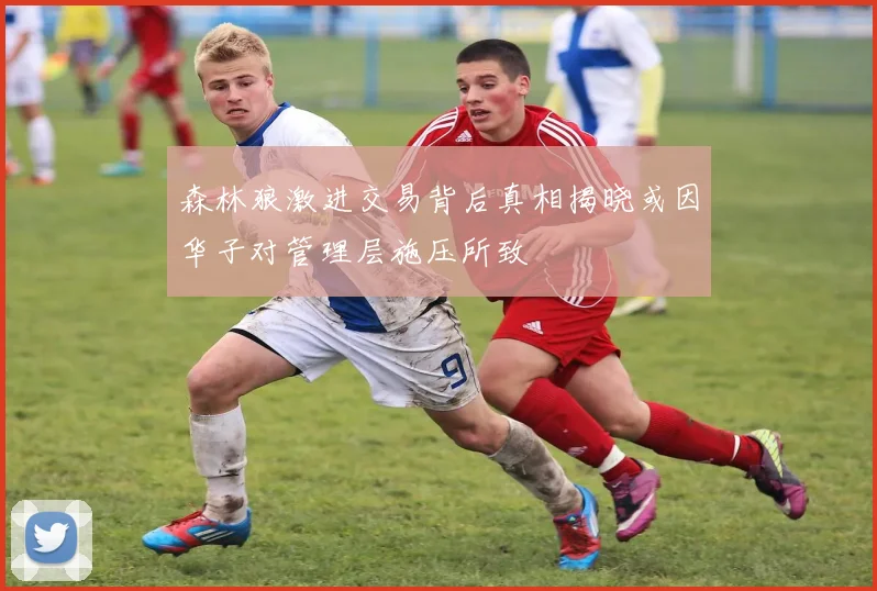 森林狼激进交易背后真相揭晓或因华子对管理层施压所致